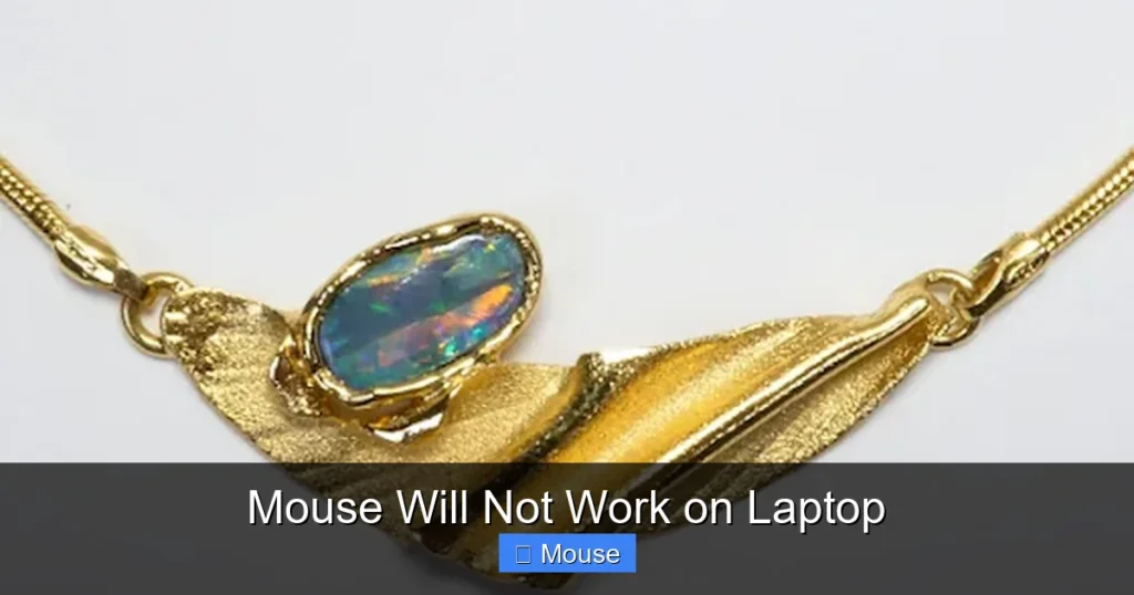 Mouse Will Not Work on Laptop