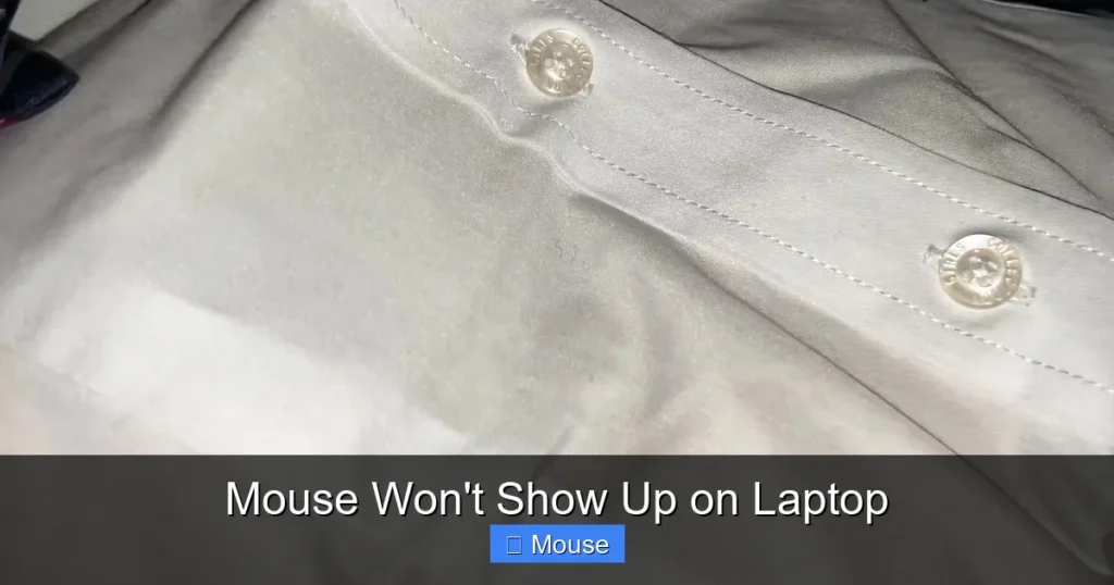 Mouse Won't Show Up on Laptop