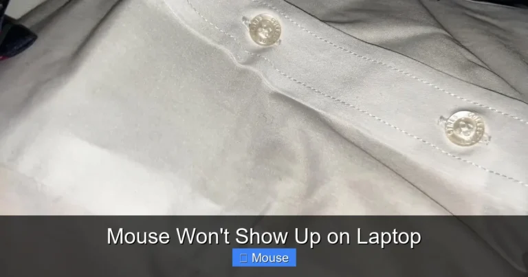 Mouse Won't Show Up on Laptop