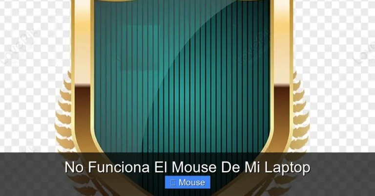 No Funciona El Mouse De Mi Laptop