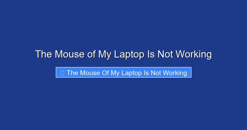 The Mouse of My Laptop Is Not Working