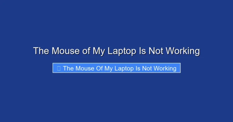 The Mouse of My Laptop Is Not Working