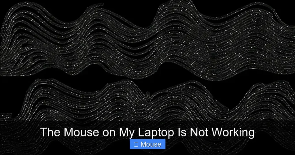 The Mouse on My Laptop Is Not Working