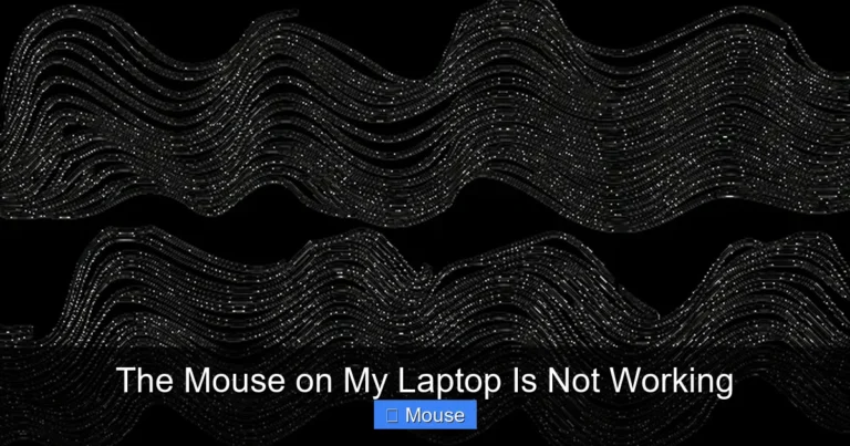 The Mouse on My Laptop Is Not Working