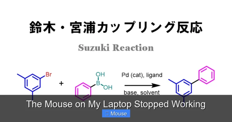 The Mouse on My Laptop Stopped Working