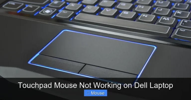 Touchpad Mouse Not Working on Dell Laptop