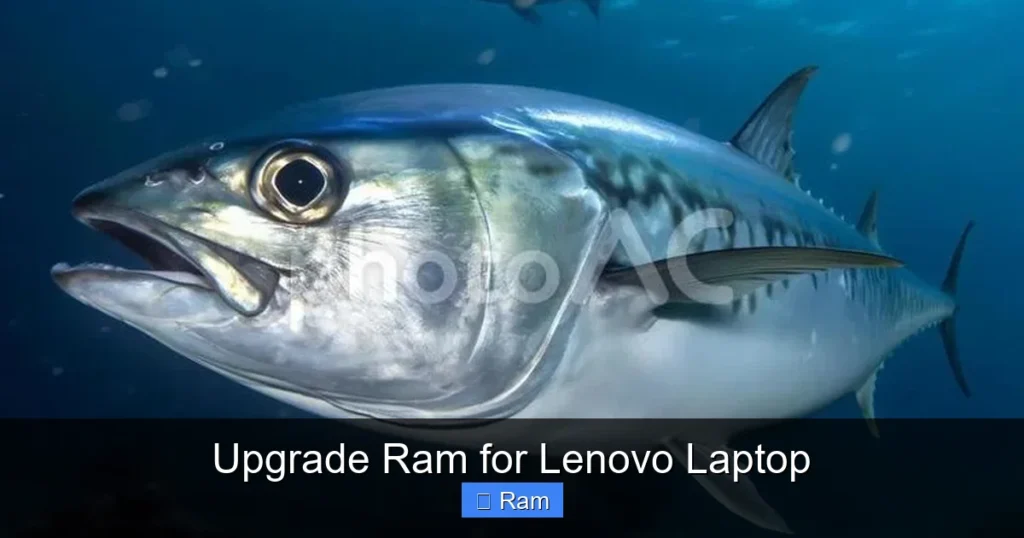 Upgrade Ram for Lenovo Laptop