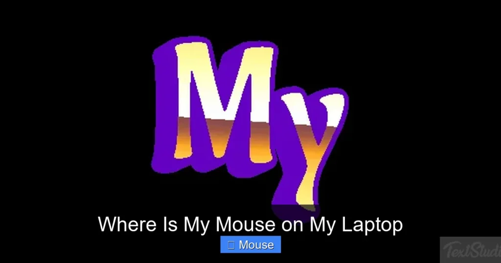 Where Is My Mouse on My Laptop
