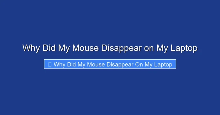 Why Did My Mouse Disappear on My Laptop