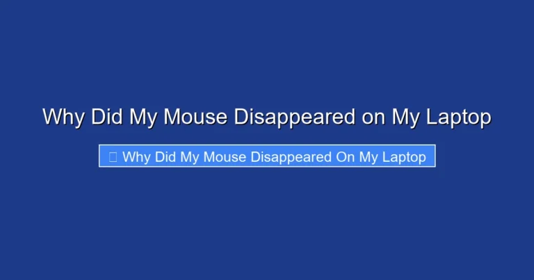 Why Did My Mouse Disappeared on My Laptop