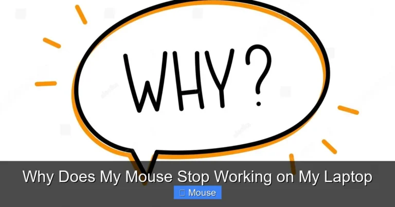 Why Does My Mouse Stop Working on My Laptop