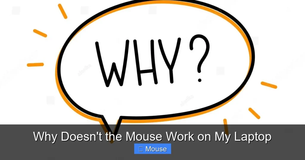 Why Doesn't the Mouse Work on My Laptop