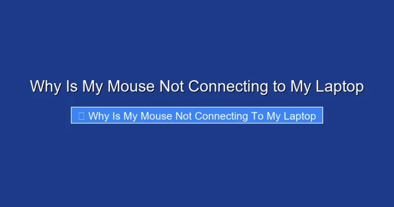 Why Is My Mouse Not Connecting to My Laptop