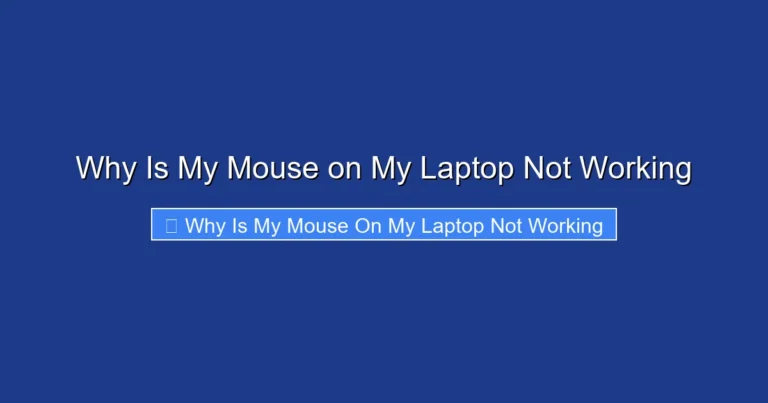 Why Is My Mouse on My Laptop Not Working