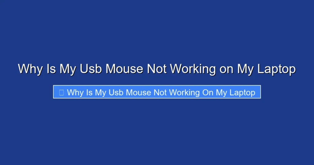 Why Is My Usb Mouse Not Working on My Laptop