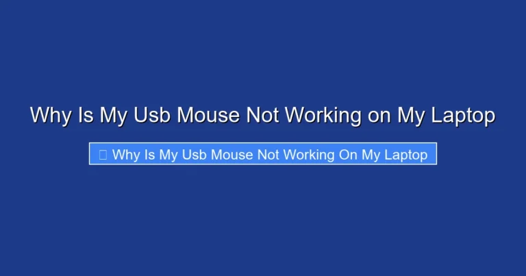 Why Is My Usb Mouse Not Working on My Laptop
