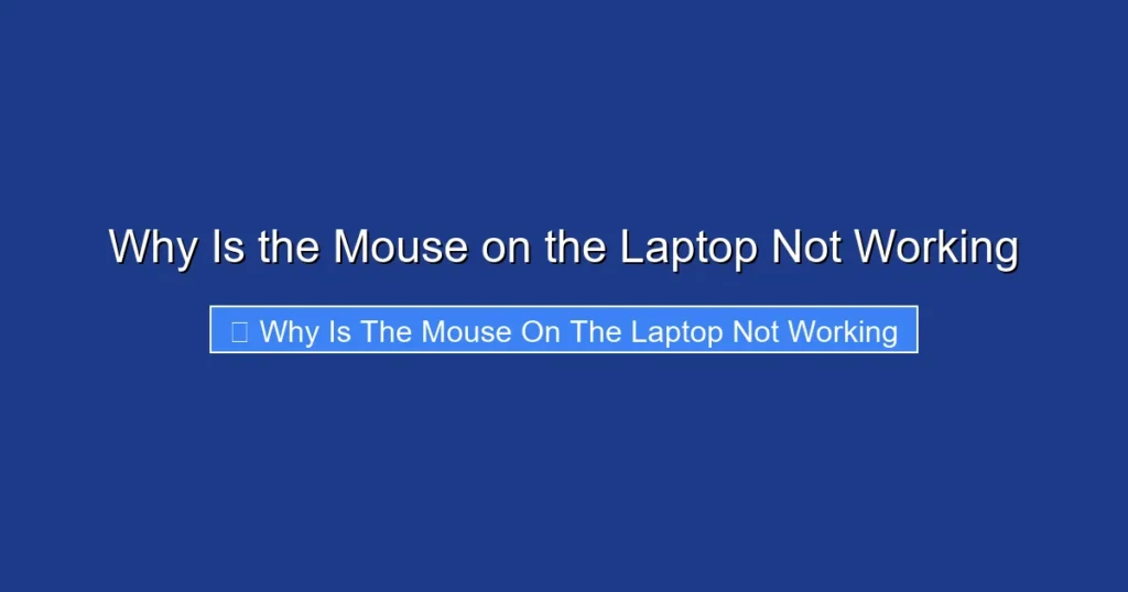 Why Is the Mouse on the Laptop Not Working