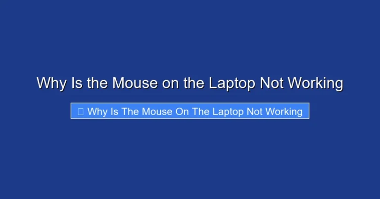 Why Is the Mouse on the Laptop Not Working