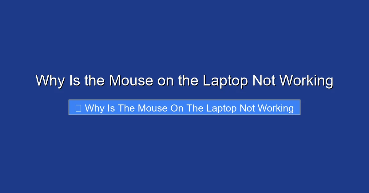 Why Is the Mouse on the Laptop Not Working