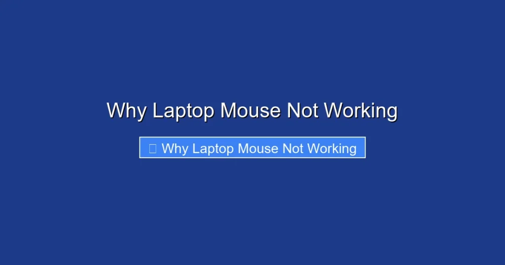 Why Laptop Mouse Not Working