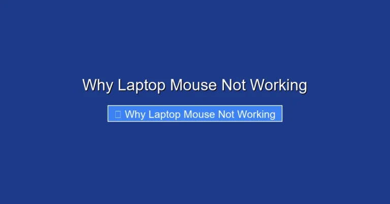 Why Laptop Mouse Not Working