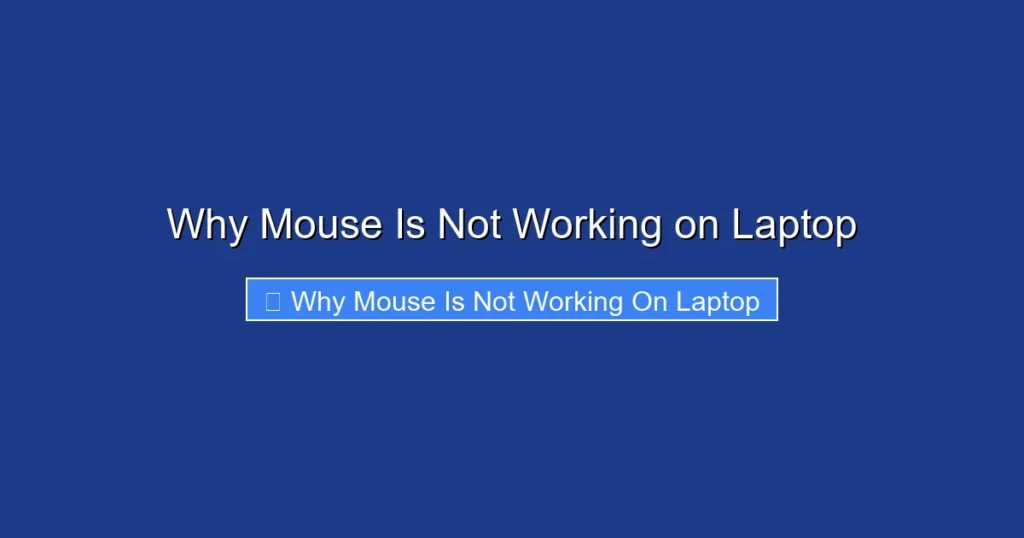 Why Mouse Is Not Working on Laptop