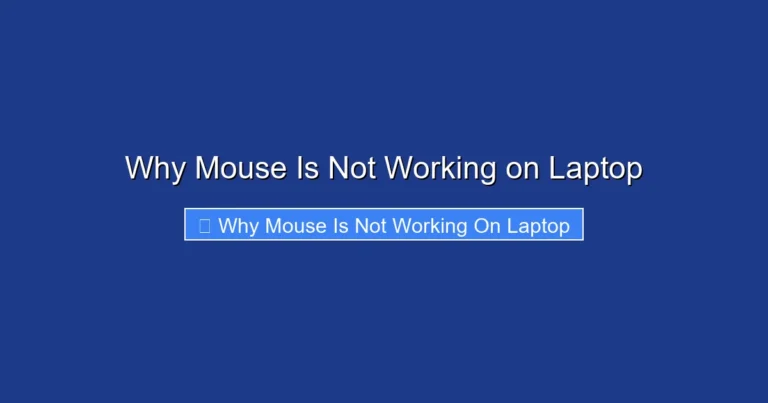 Why Mouse Is Not Working on Laptop