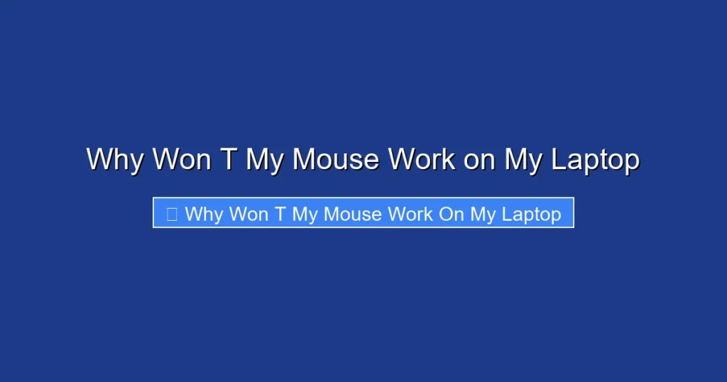 Why Won T My Mouse Work on My Laptop