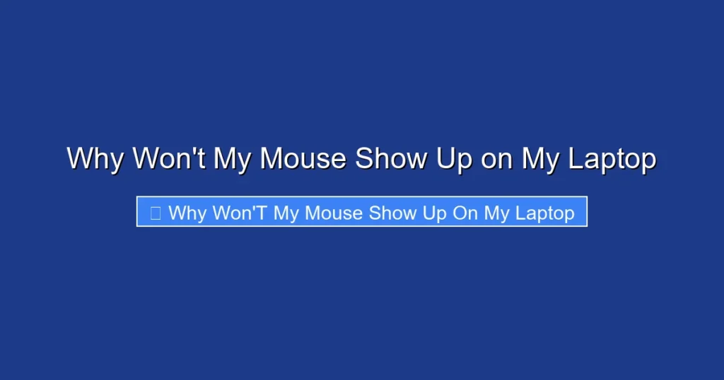 Why Won't My Mouse Show Up on My Laptop