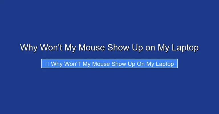 Why Won't My Mouse Show Up on My Laptop