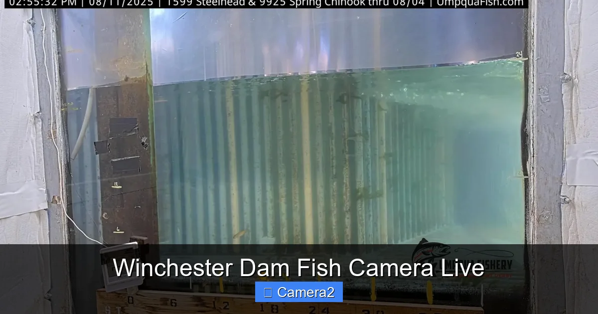 Winchester Dam Fish Camera Live