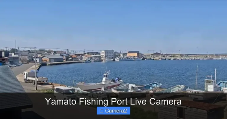 Yamato Fishing Port Live Camera