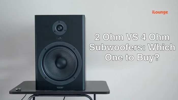 2 Ohm 4 Ohm Speakers