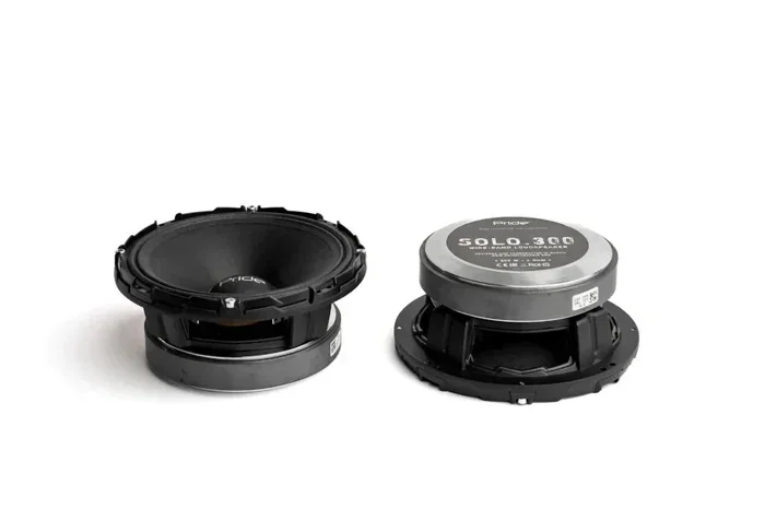 300 Watt Rms 6.5 Speakers