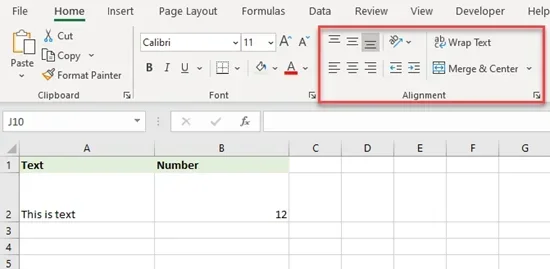 Types of Alignment in Ms Excel
