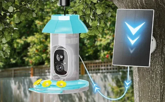 Hummingbird Feeder with Camera Solar Powered