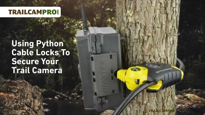 Python Cable Lock for Trail Camera