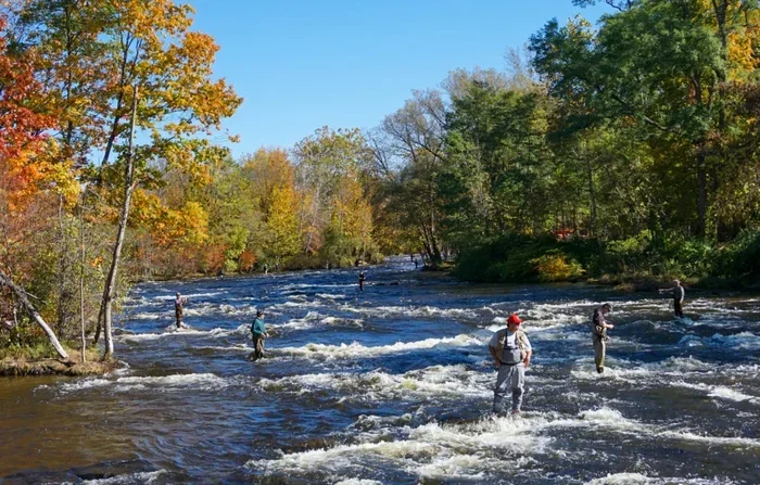 Salmon River Pulaski Ny Live Camera