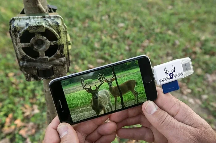 Sd Card for Deer Camera