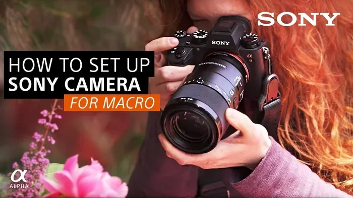 Which Sony Camera Has the Most Megapixels