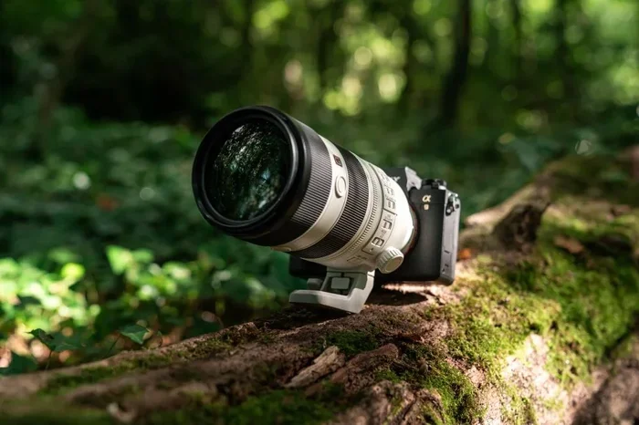 Sony Camera for Wildlife Photography