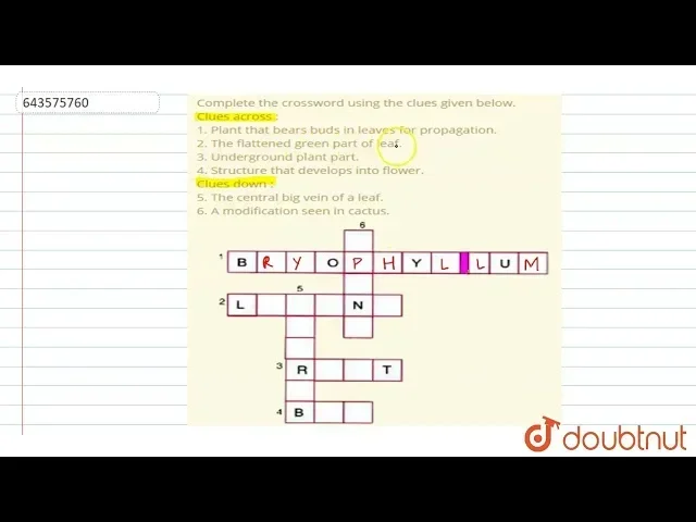 Ideal Location for Speakers Crossword Clue