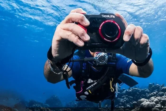 Waterproof Camera Tips for Underwater Use