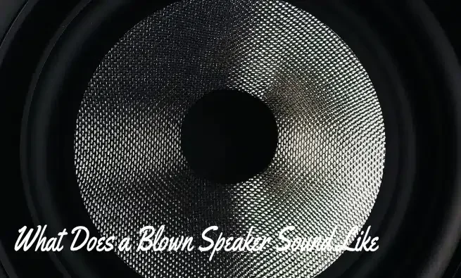 What Do Blown Speakers Sound Like