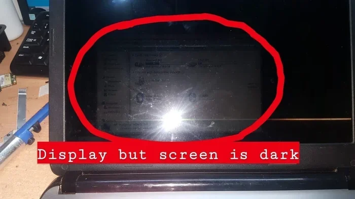 Acer Laptop Screen Broken Backlight on but No Screen Output