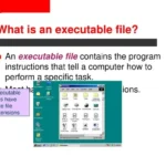 What Is Exe
