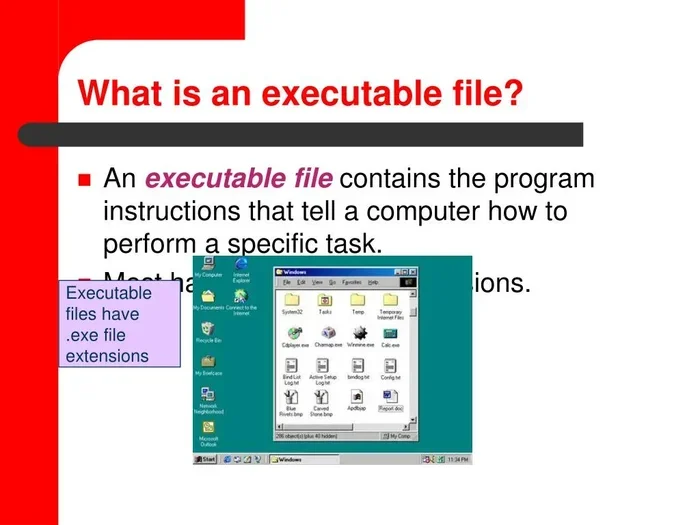 What Is Exe