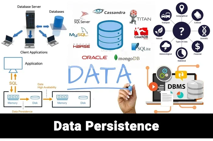 What Is a Persistence Module