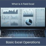 What Is a Field in Excel