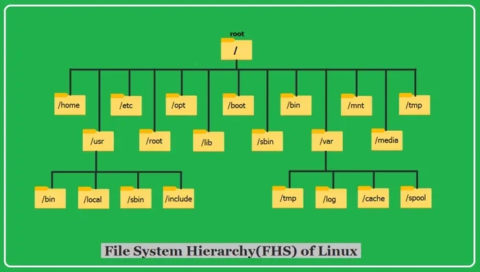 What Is a Root Directory